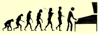 evolution of man